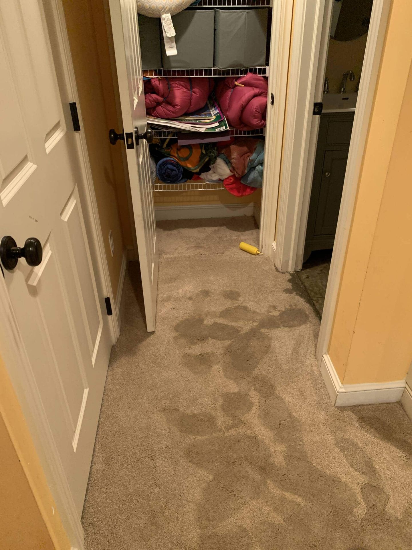 Water-darkened carpet at a doorway